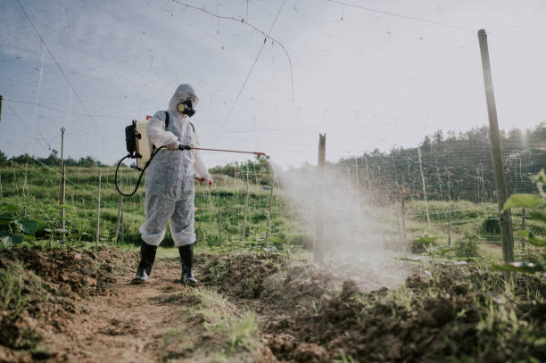 Best Local Pest Control Services  in Pocono Springs, PA