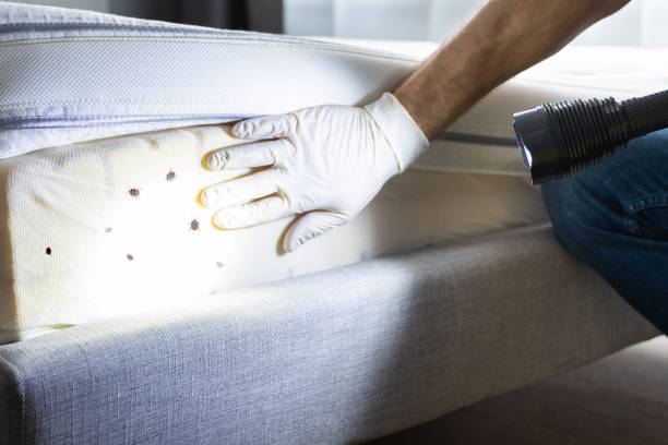 Best Pest Prevention Services  in Pocono Springs, PA