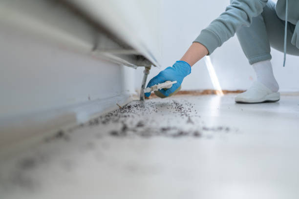 Pest Control for Restaurants in Pocono Springs, PA